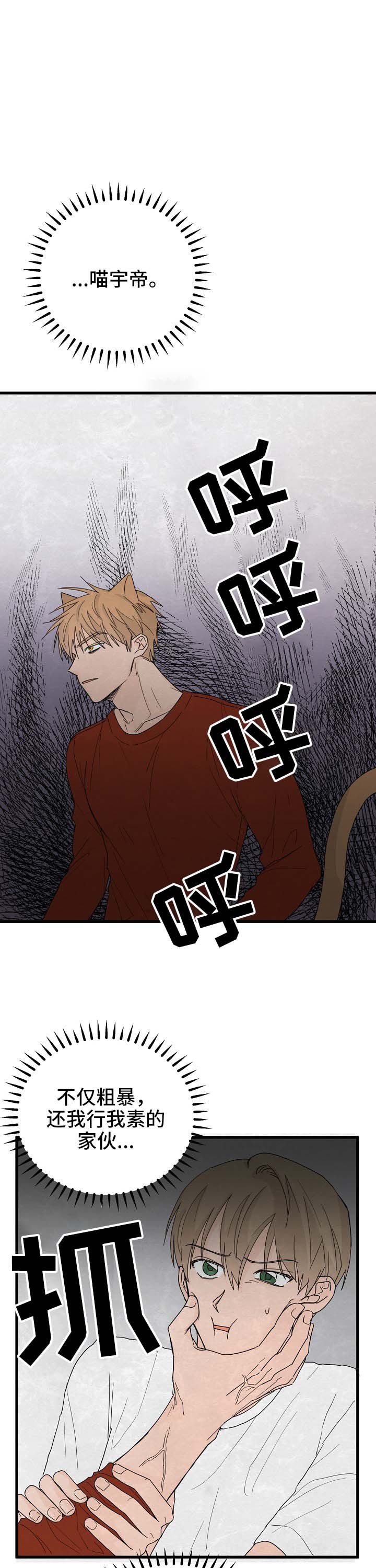第12章：我行我素