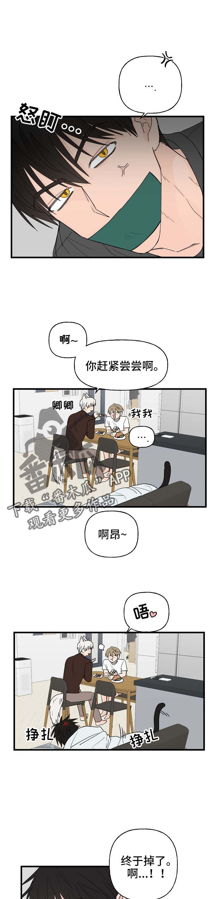 第12章：我行我素