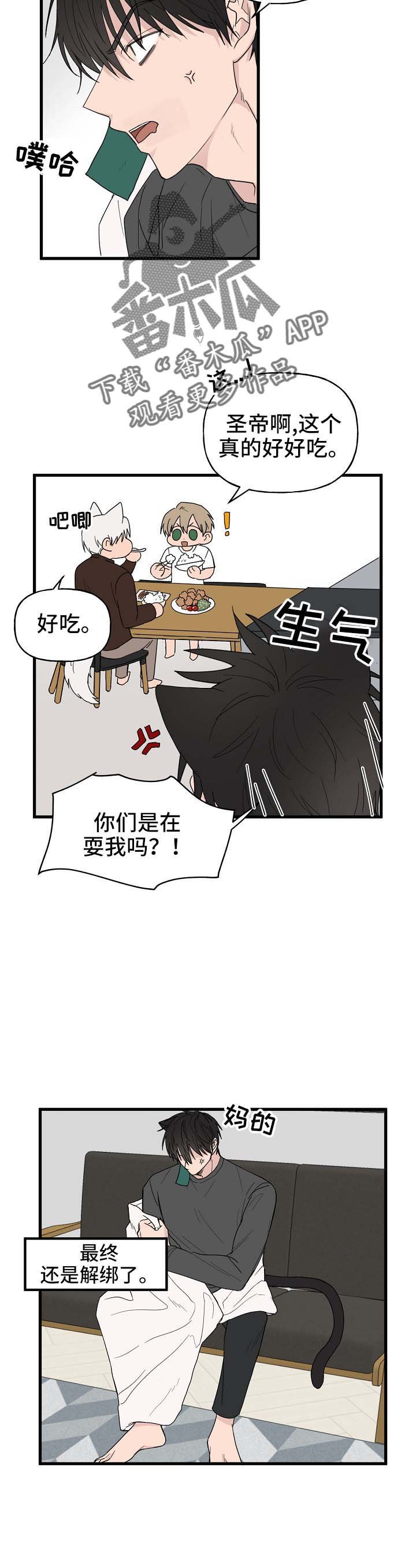 第12章：我行我素