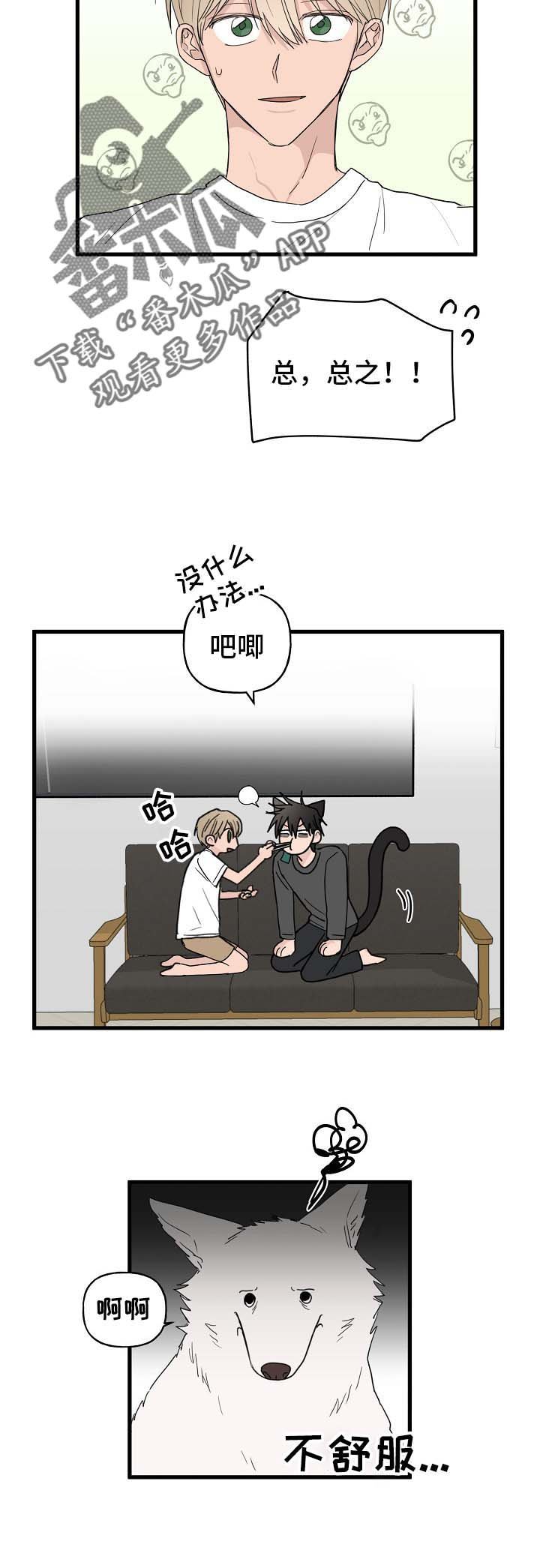 第12章：我行我素