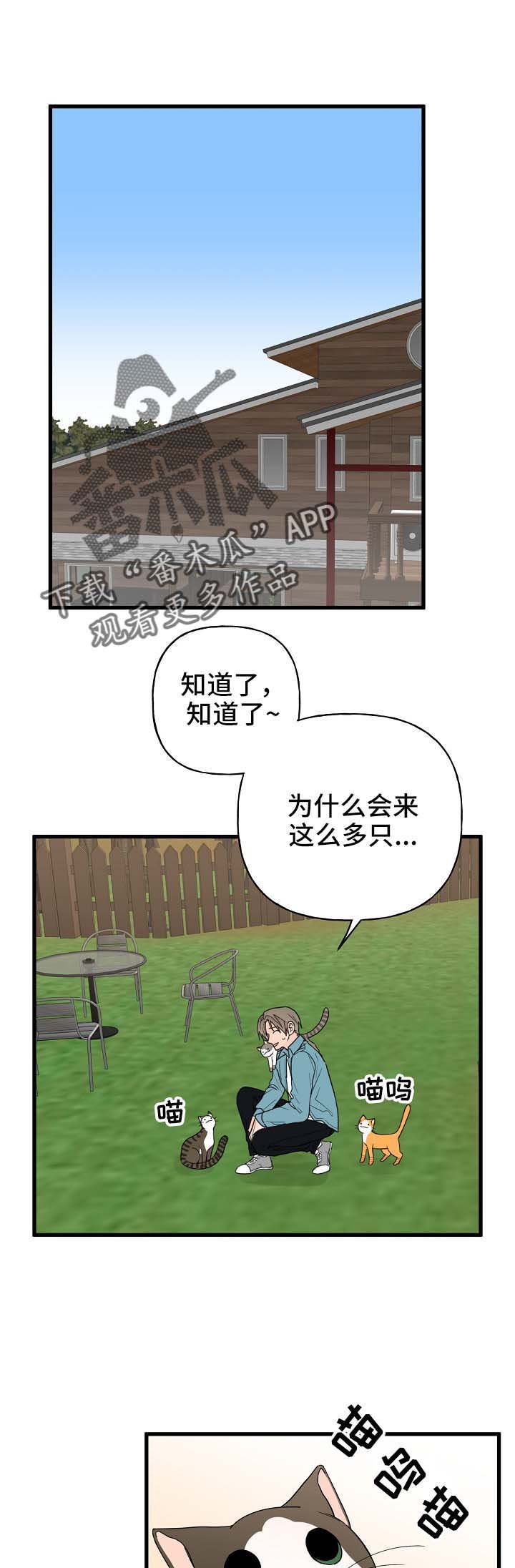 第12章：我行我素
