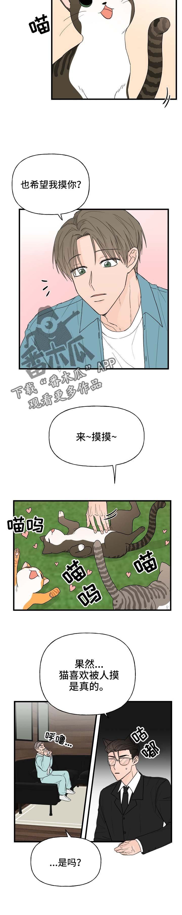 第12章：我行我素