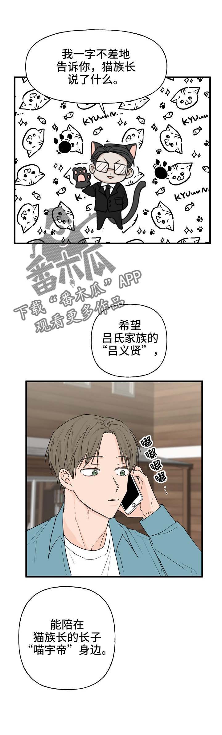 第13章：打击