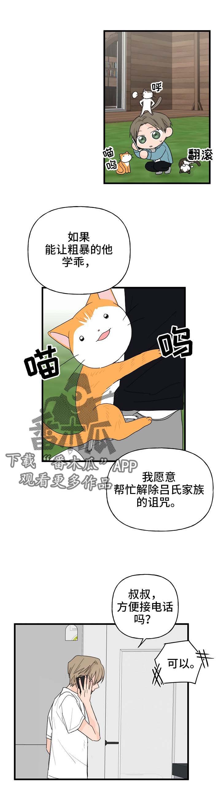 第13章：打击