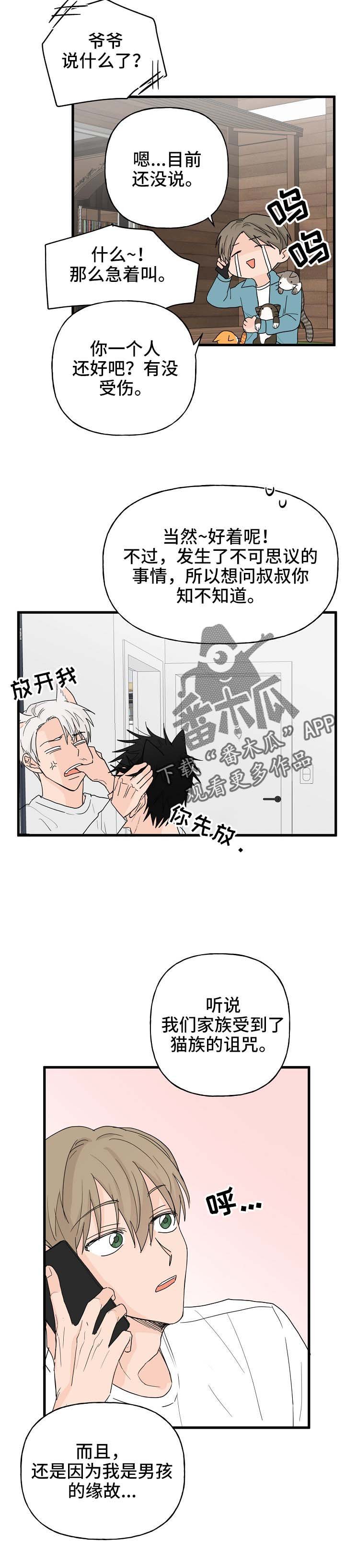 第13章：打击