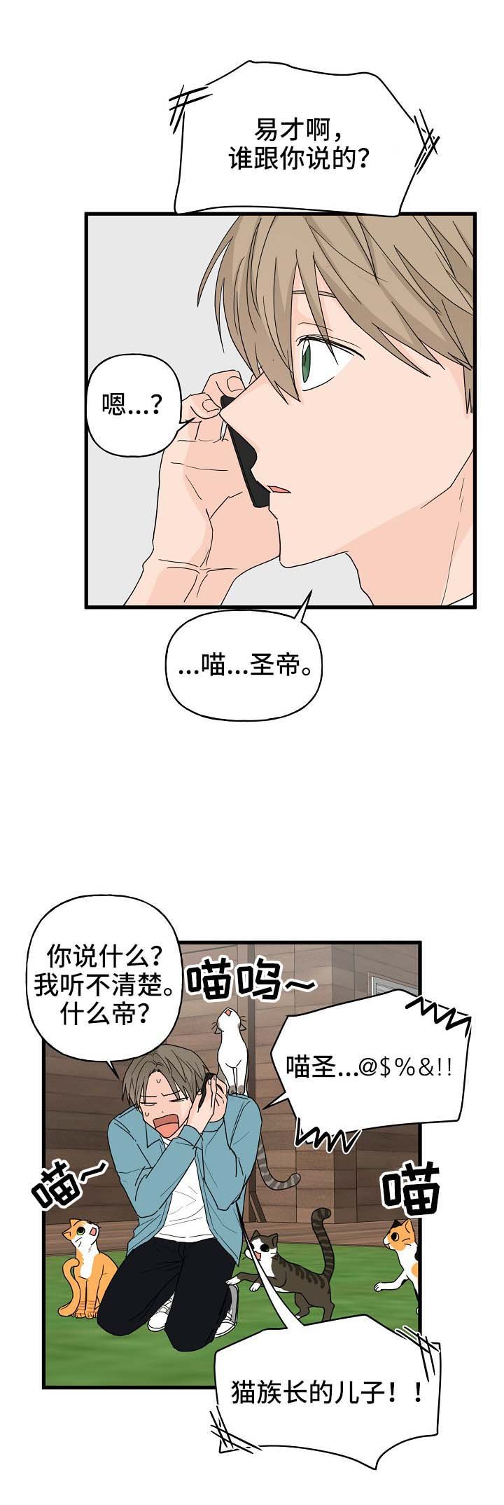 第13章：打击