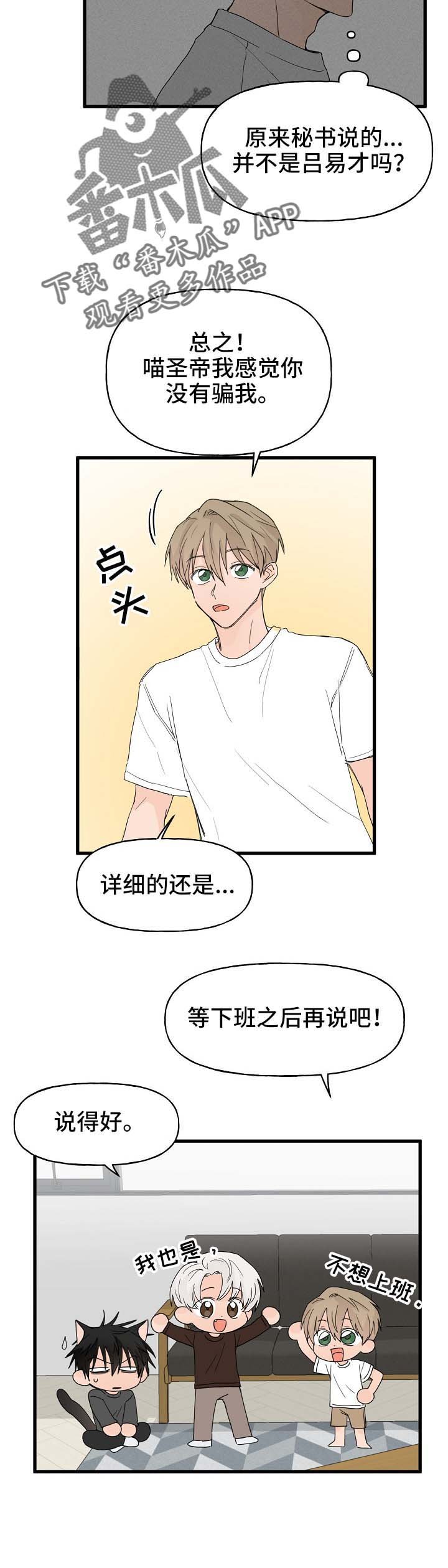 第13章：打击
