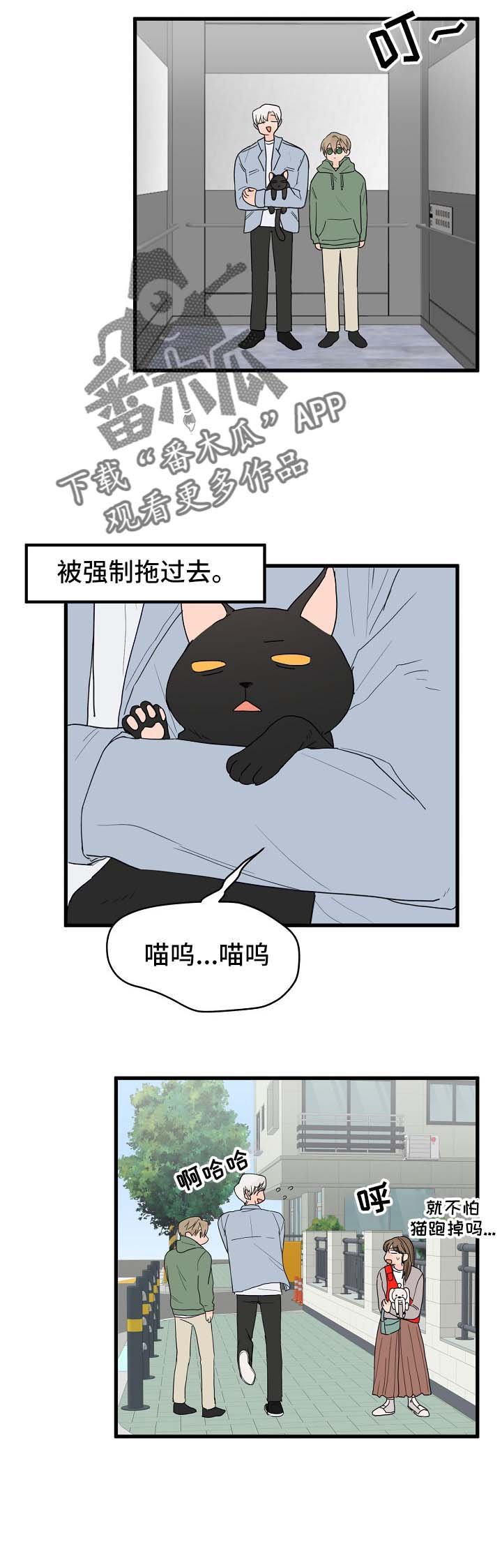 第13章：打击