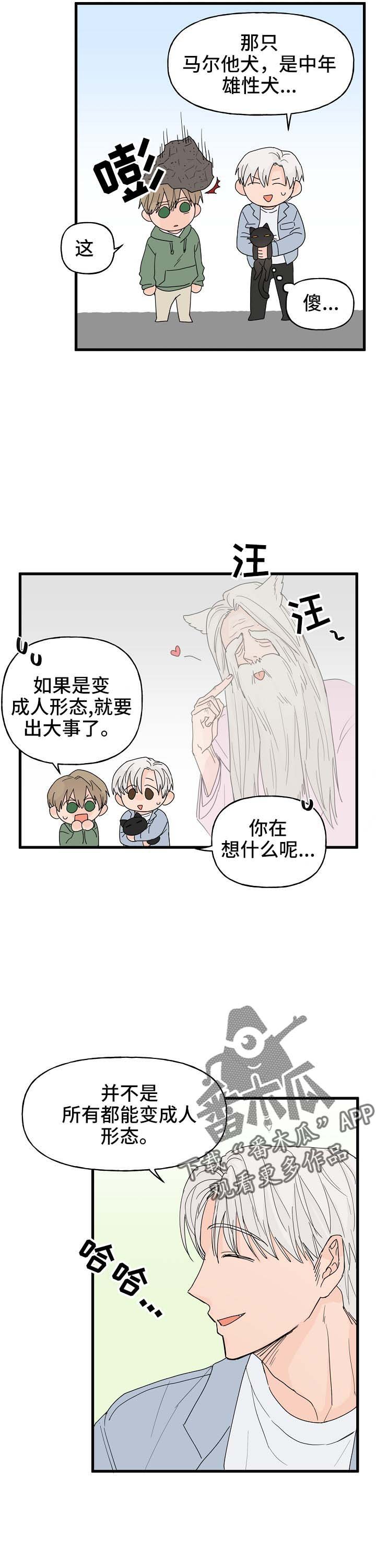 第13章：打击