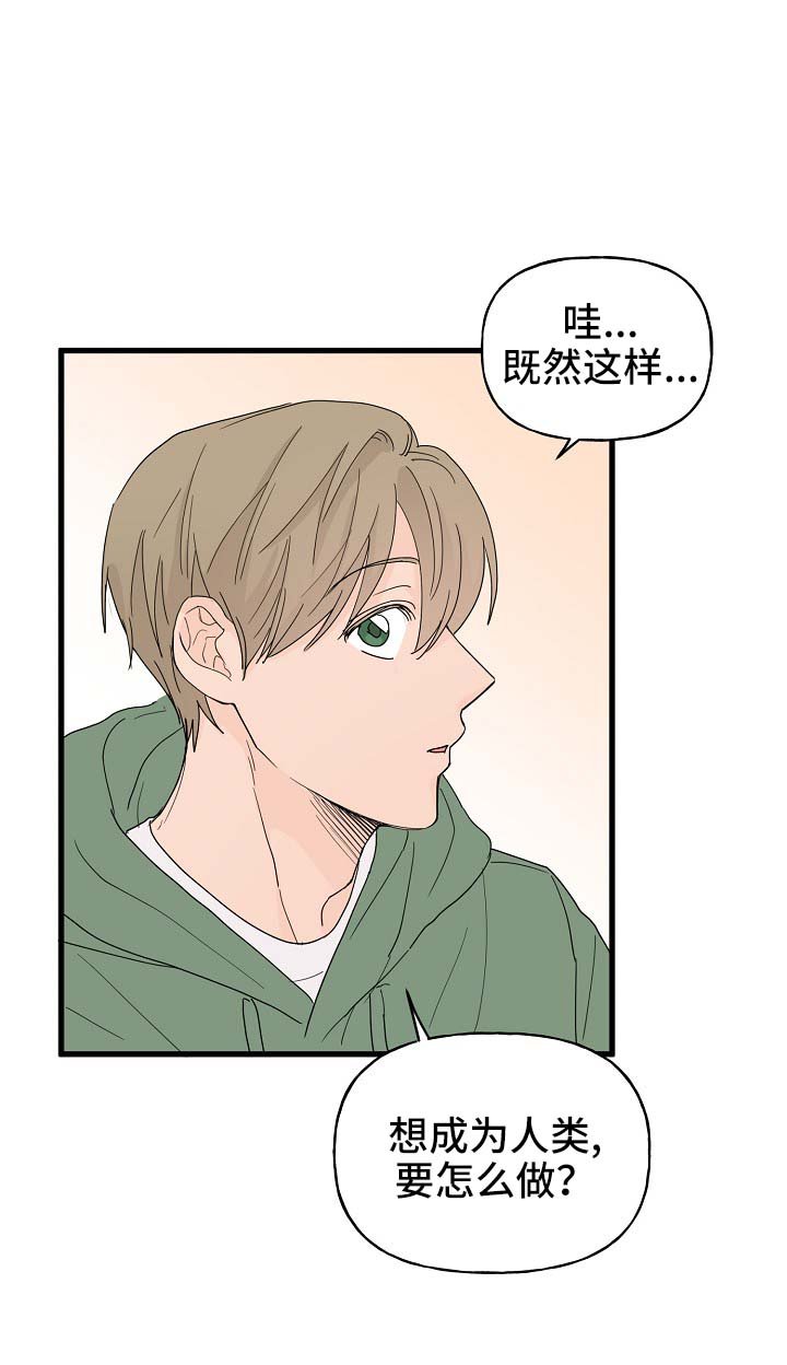第13章：打击