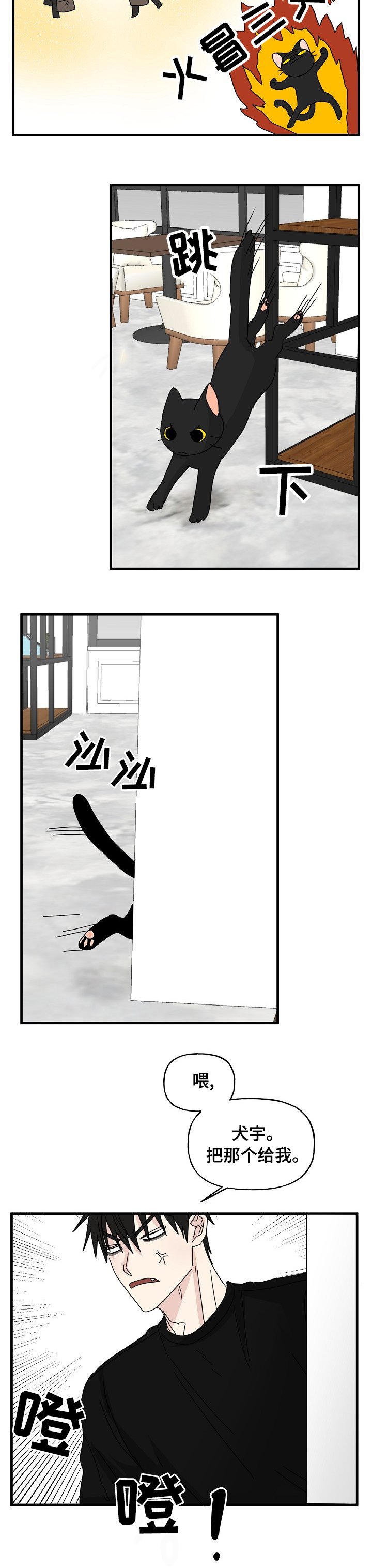 第17章：配合