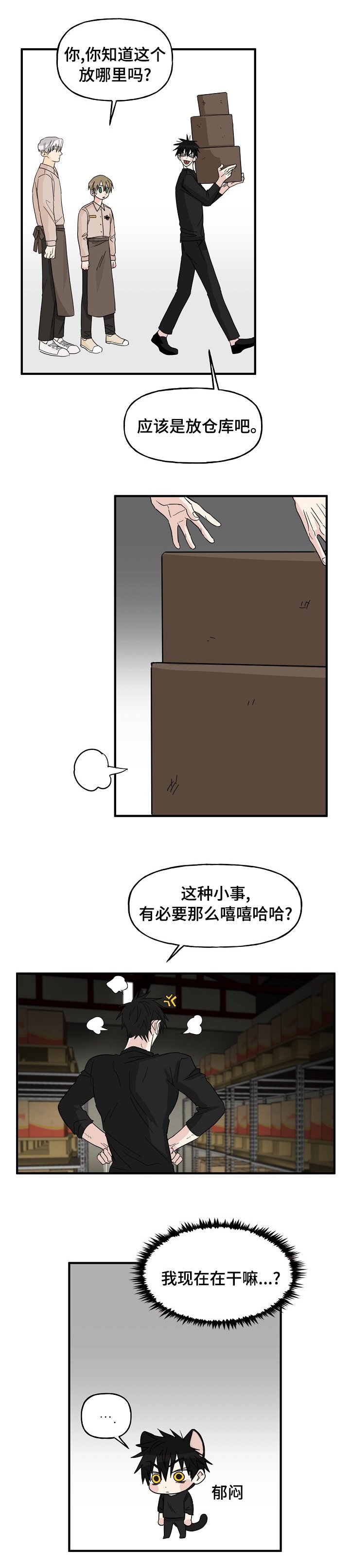 第17章：配合