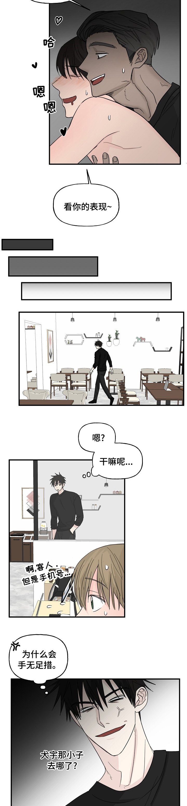 第17章：配合