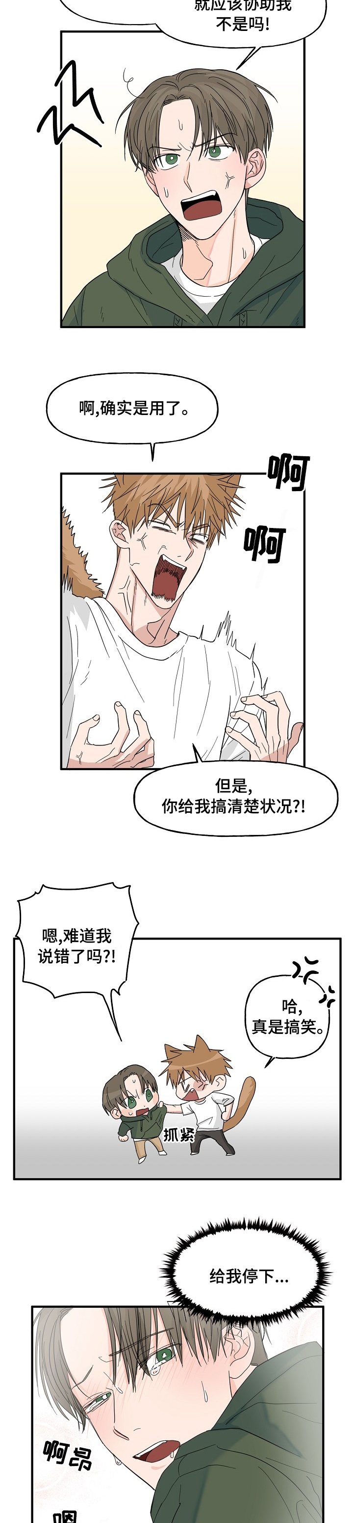 第17章：配合
