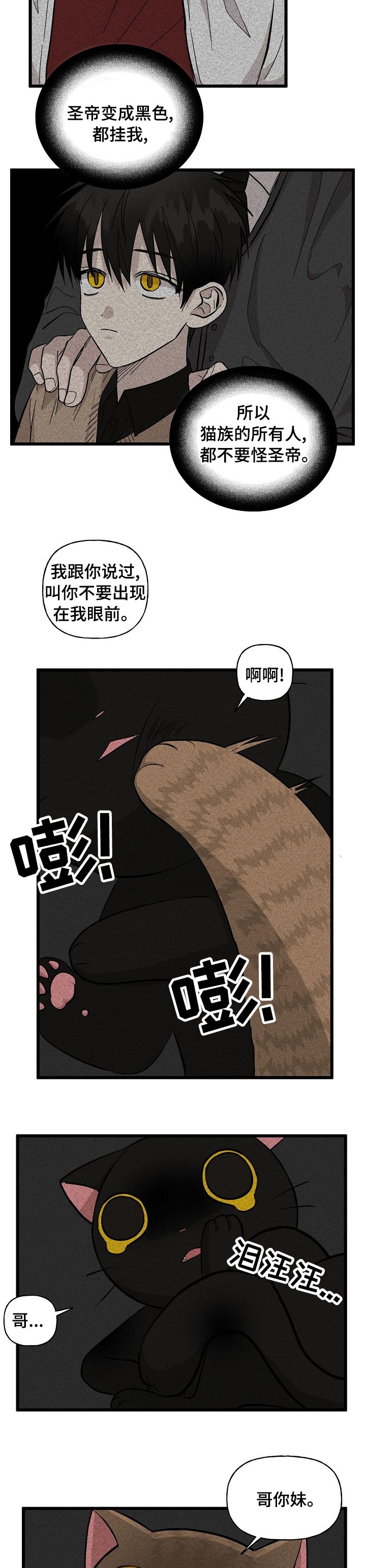第24章：特别待遇