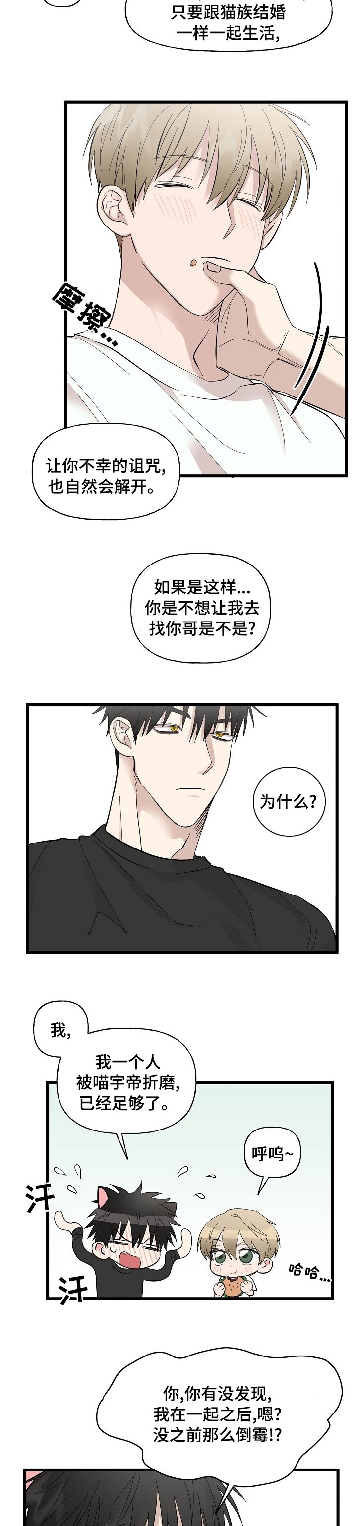 第25章：相册