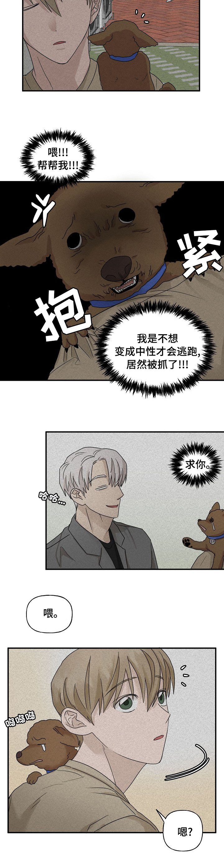 第26章：帮忙