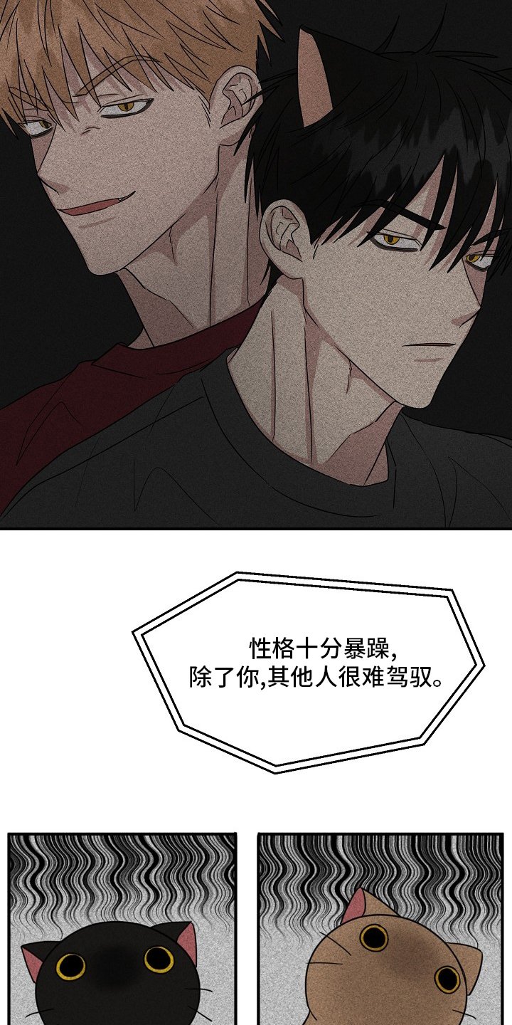 第31章：我来处理