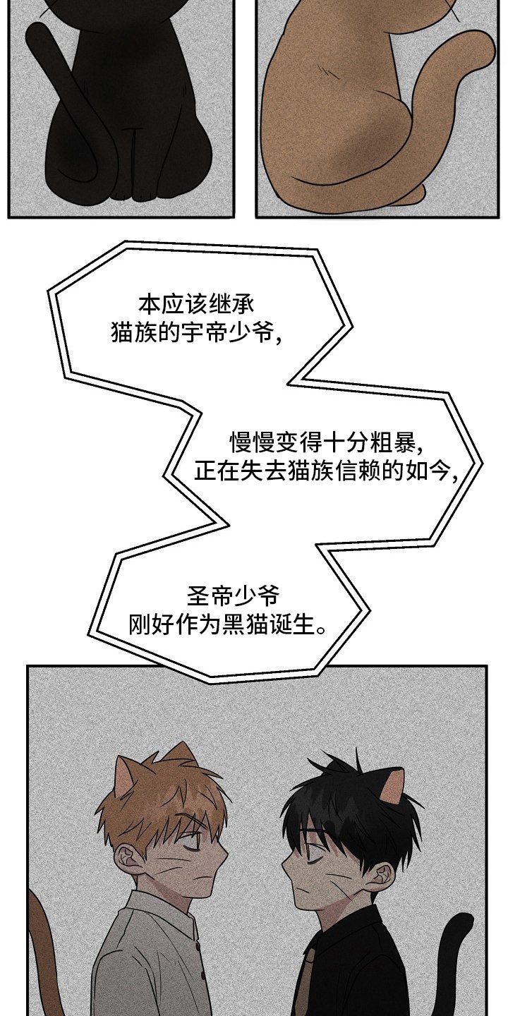 第31章：我来处理