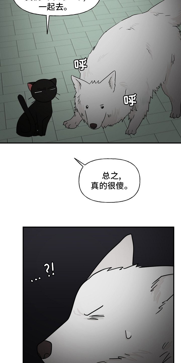 第31章：我来处理