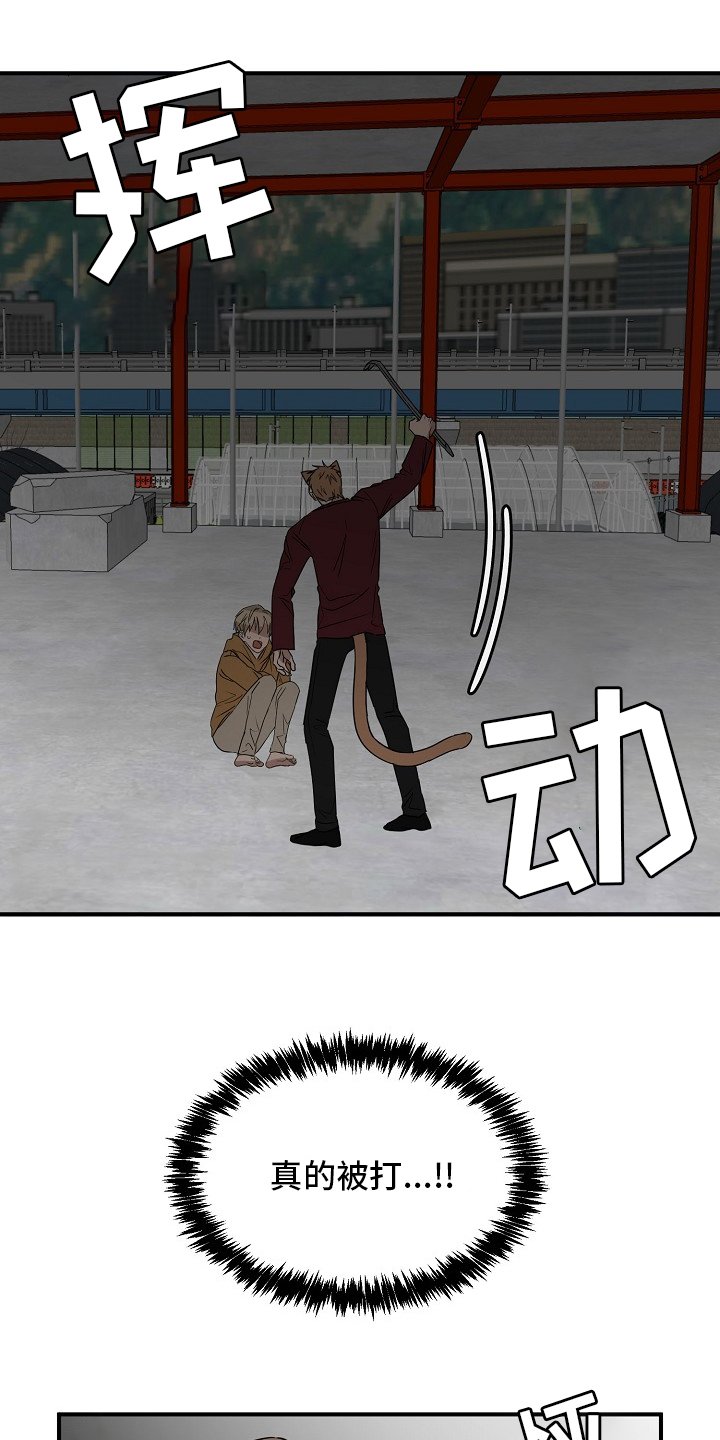 第32章：住手