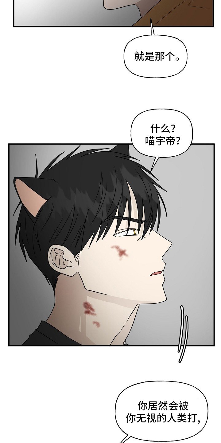 第33章：特殊能力