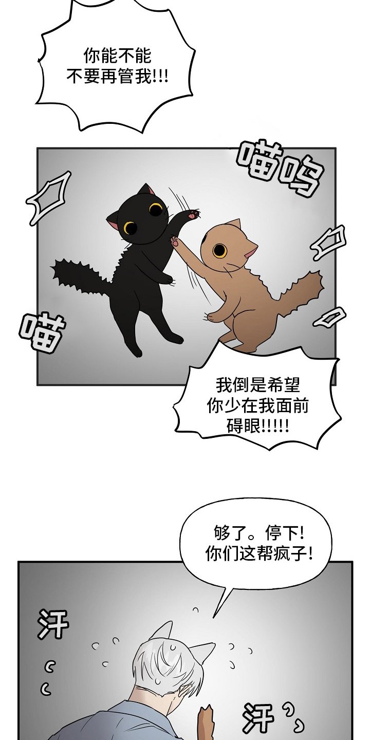 第34章：安抚