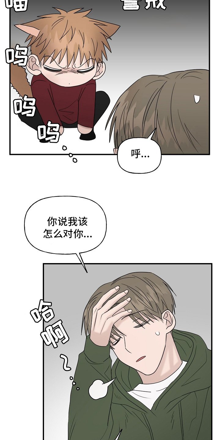 第37章：继续