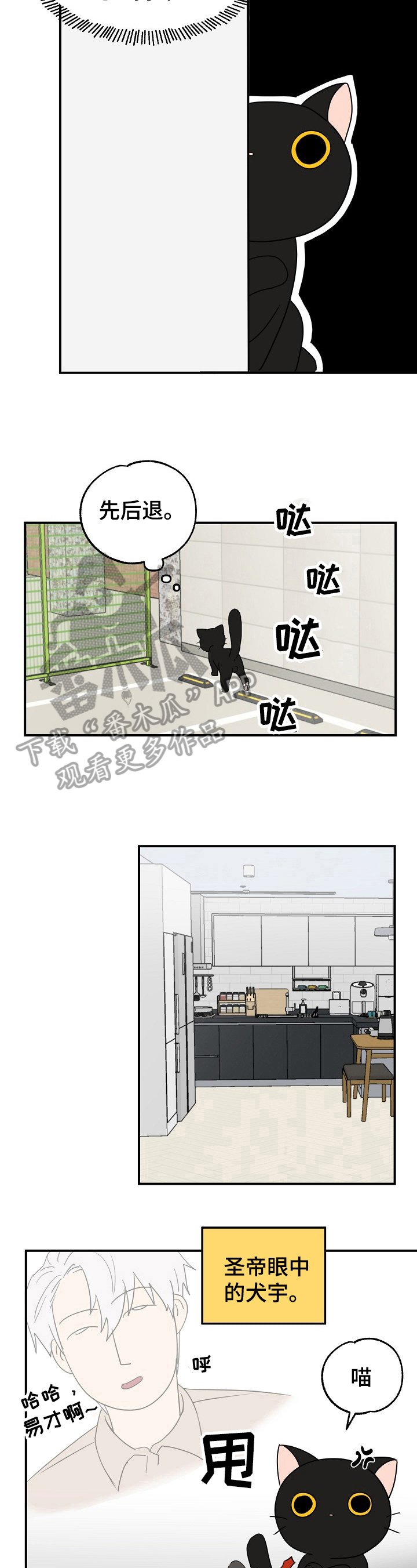 第4章：奇怪