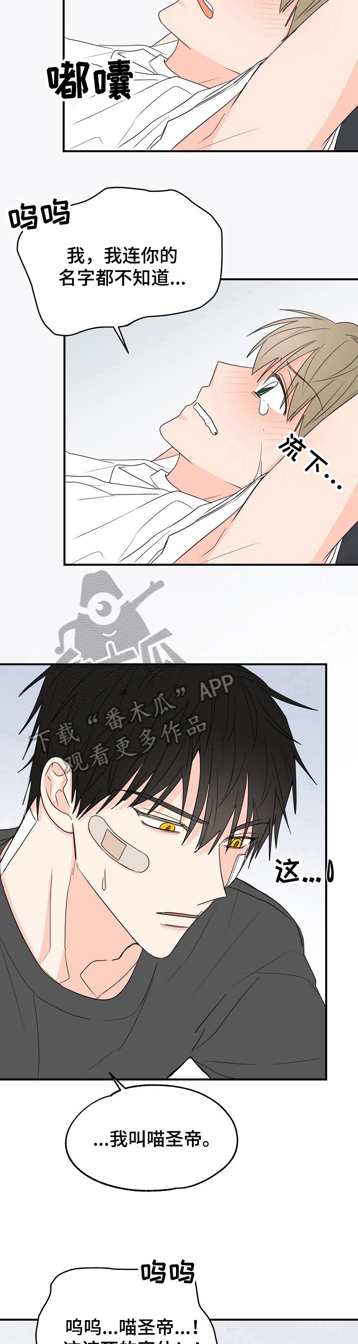 第5章：可爱