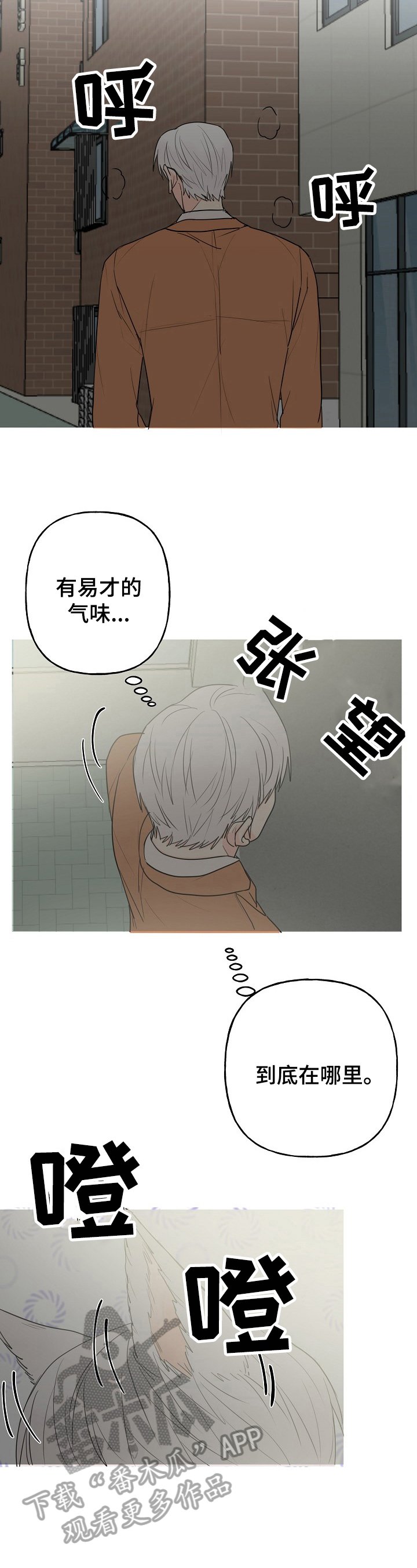 第6章：针对