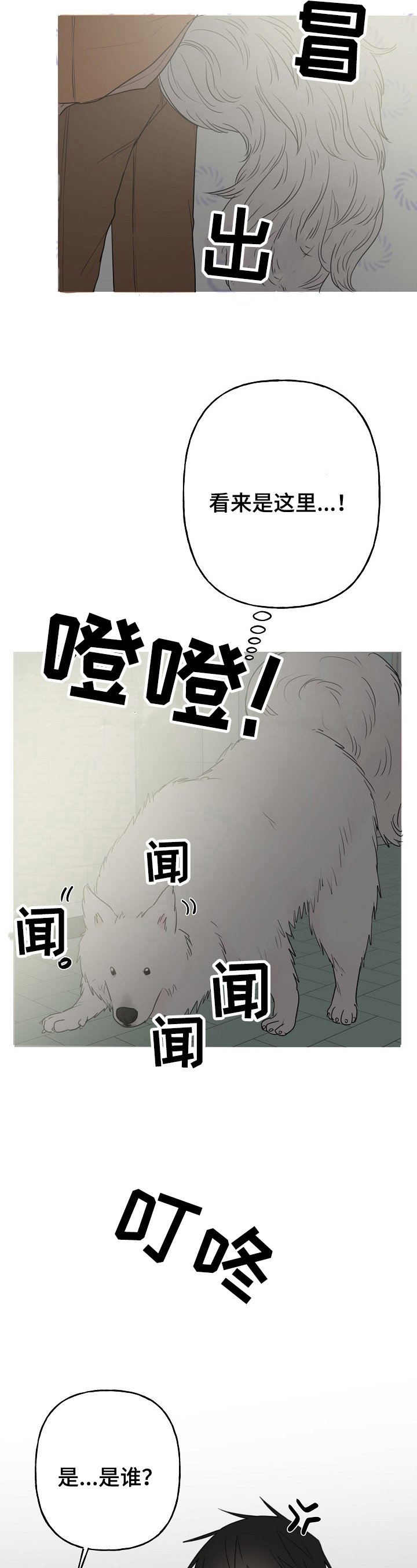 第6章：针对