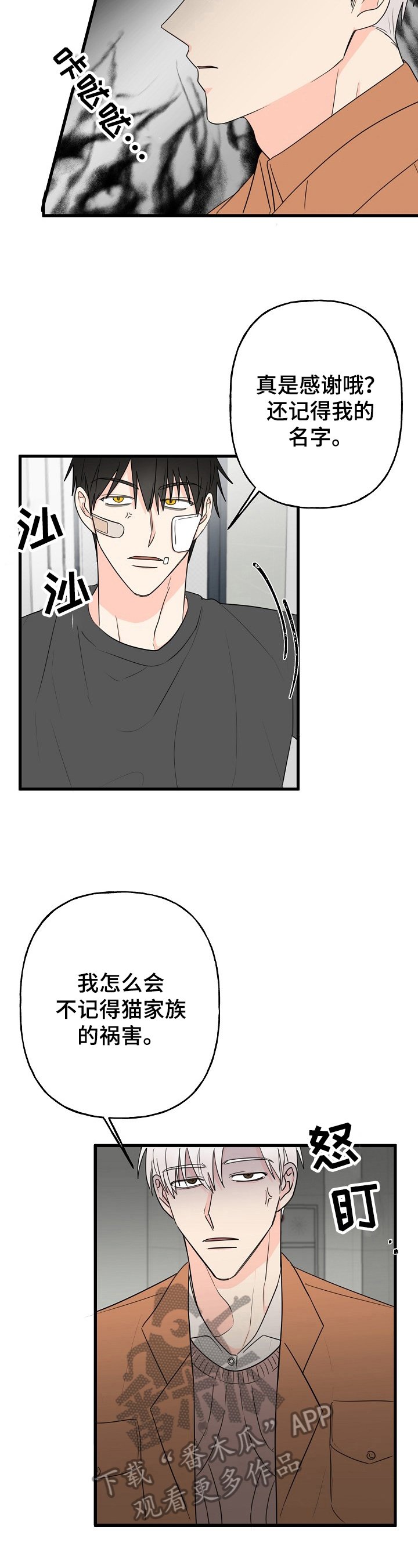 第6章：针对