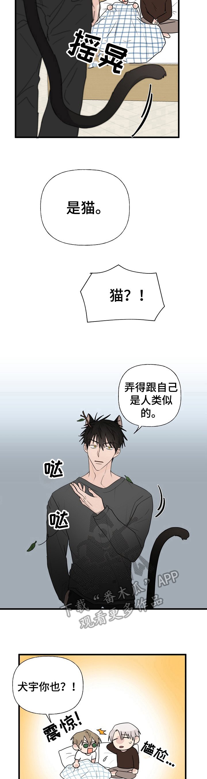 第9章：质问