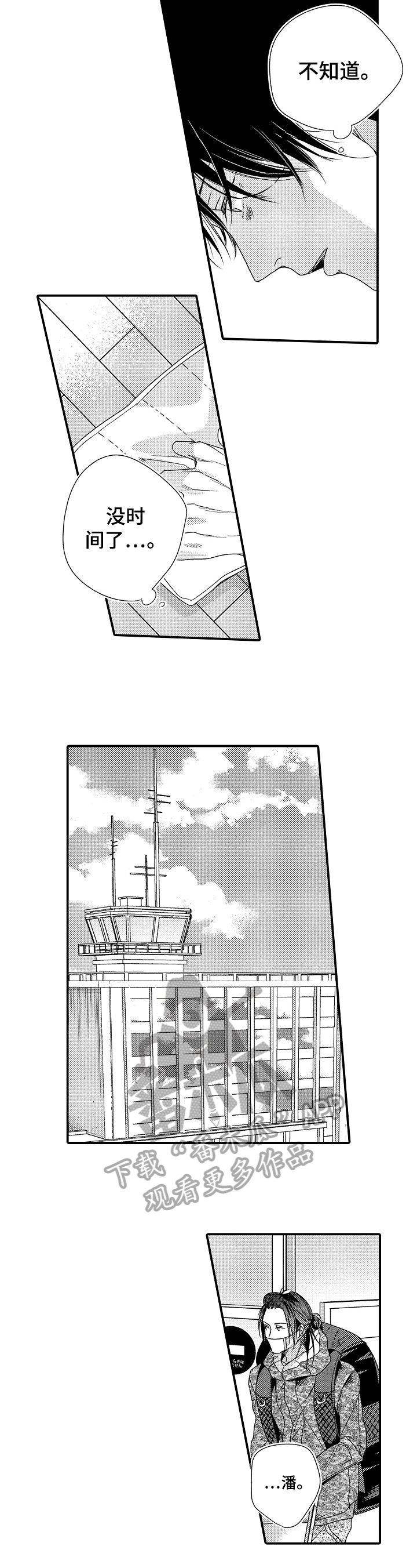 第12章：提示