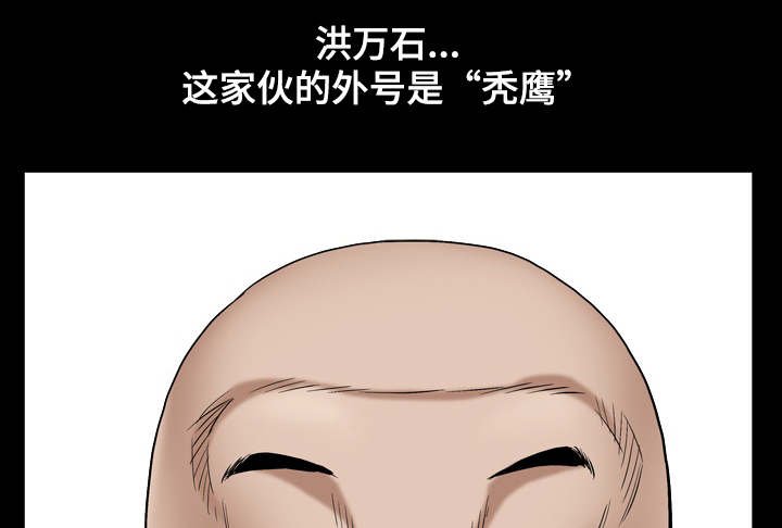 第10章：秃鹰