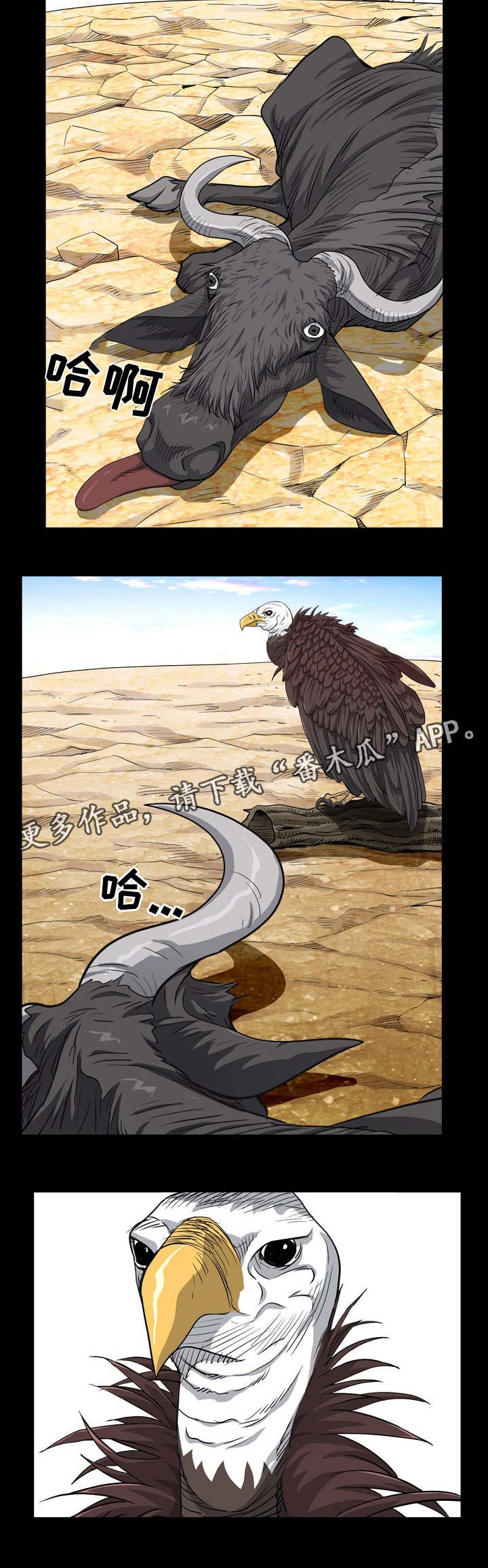 第10章：秃鹰