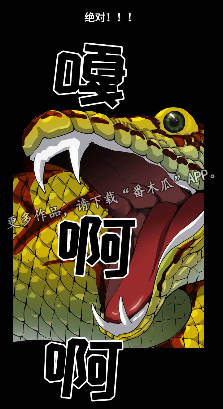 第24章：命运