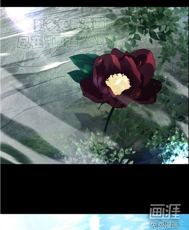 第126章：【第三季】撞见