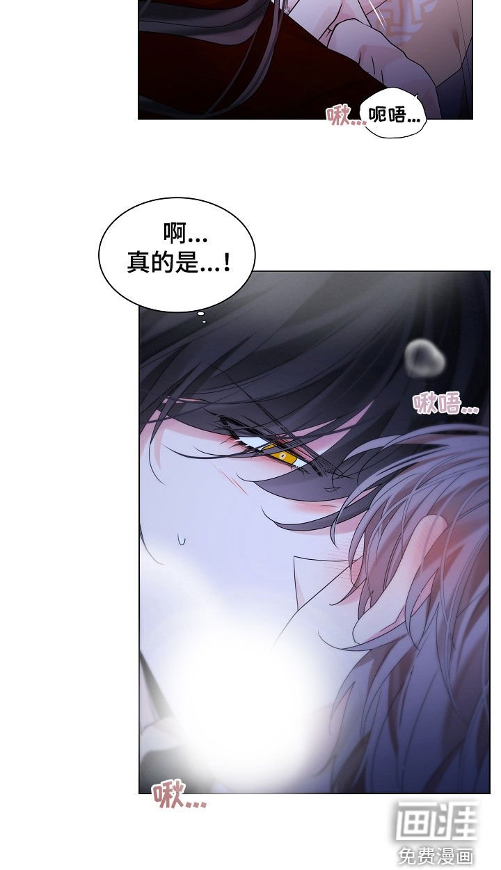 第163章：【番外】被疼爱的感觉