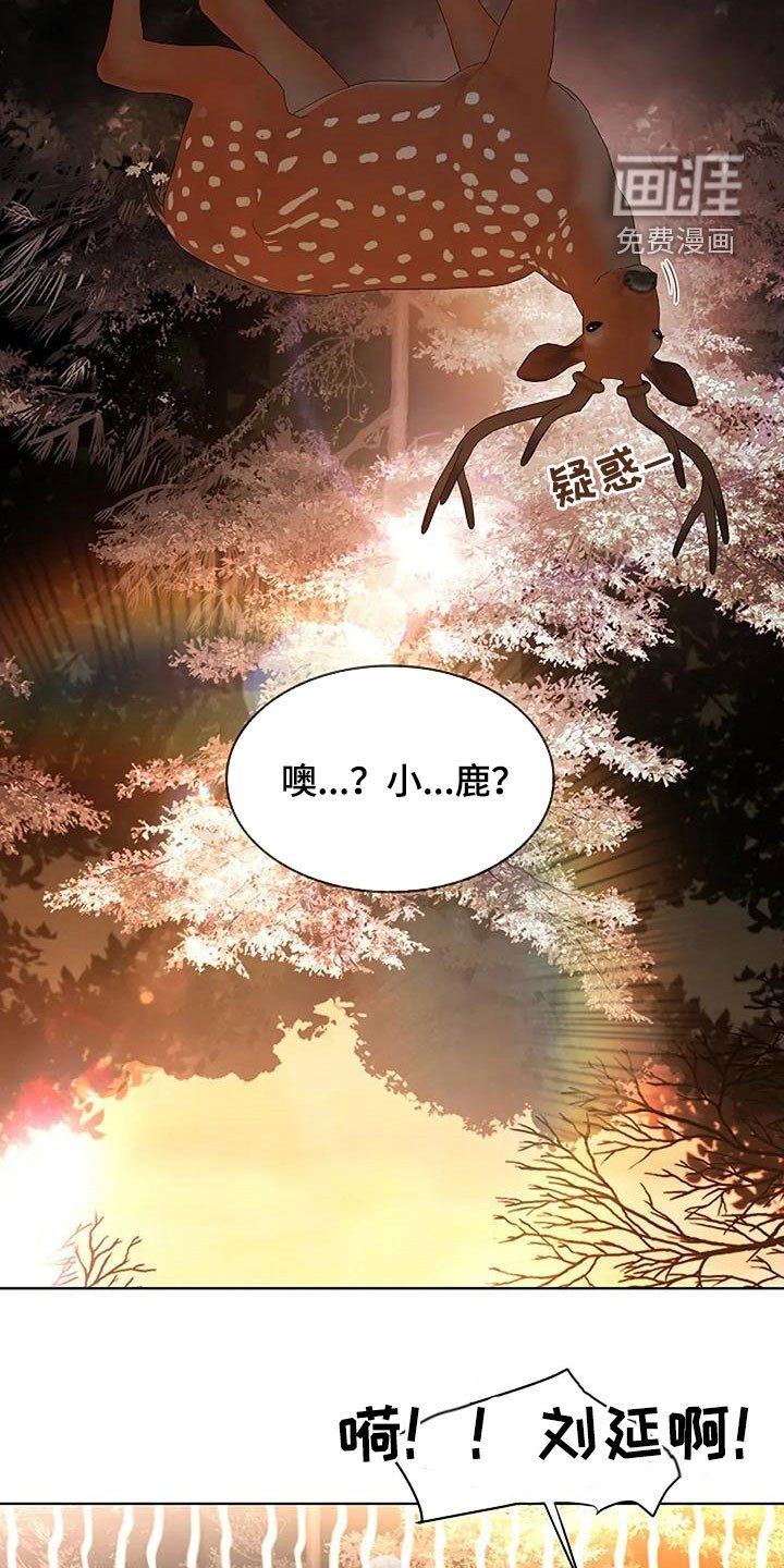 第192章：【番外】许愿