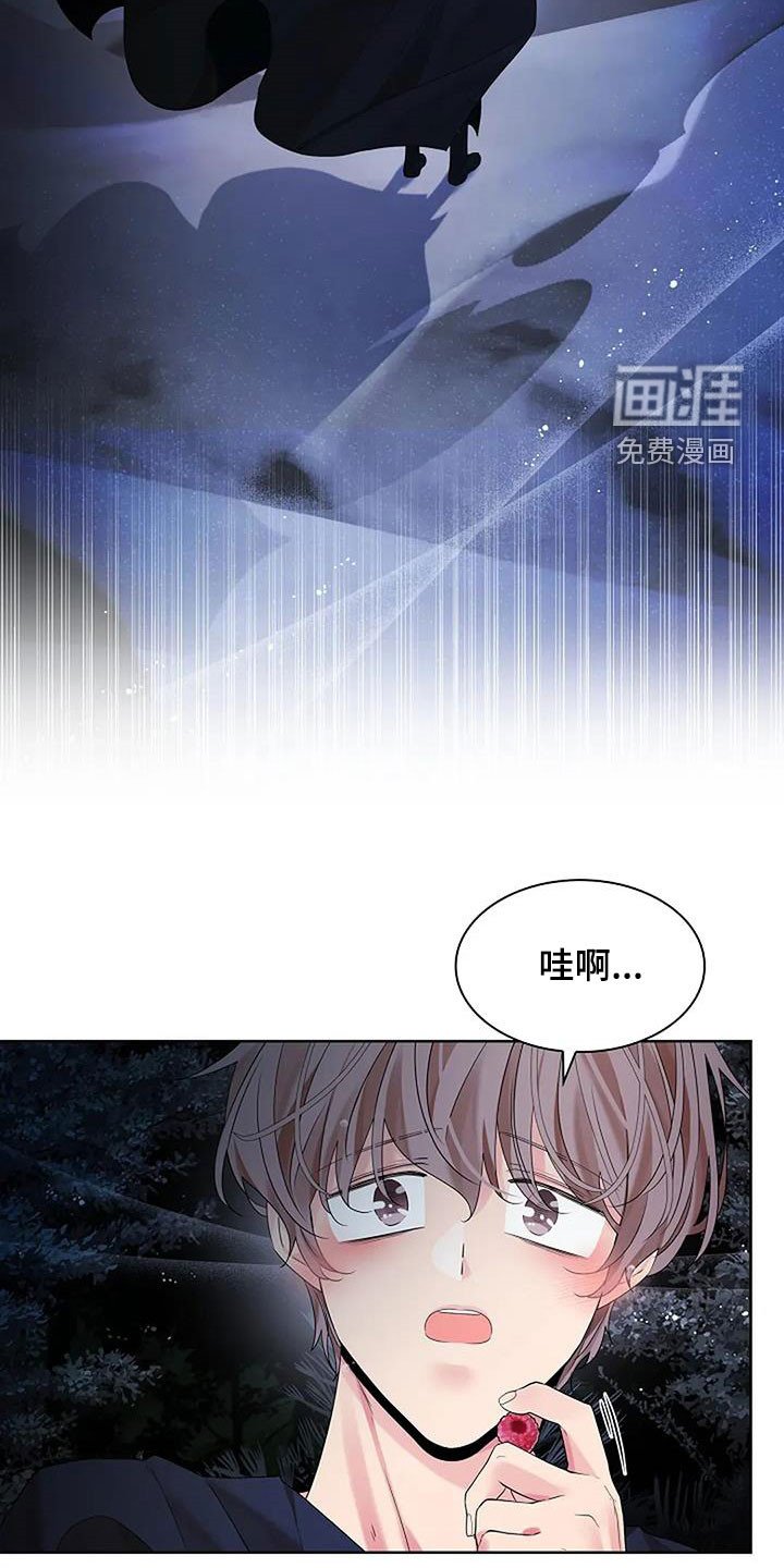 第192章：【番外】许愿