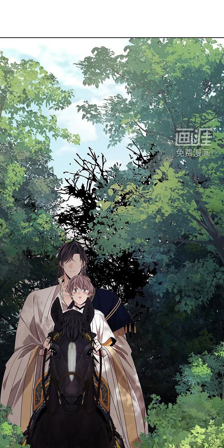 第194章：【番外完结】花海