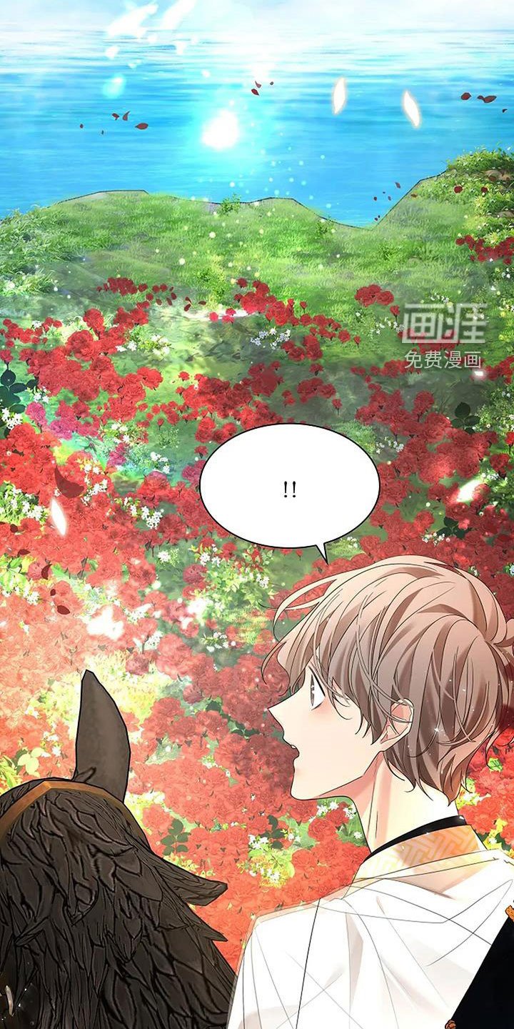第194章：【番外完结】花海