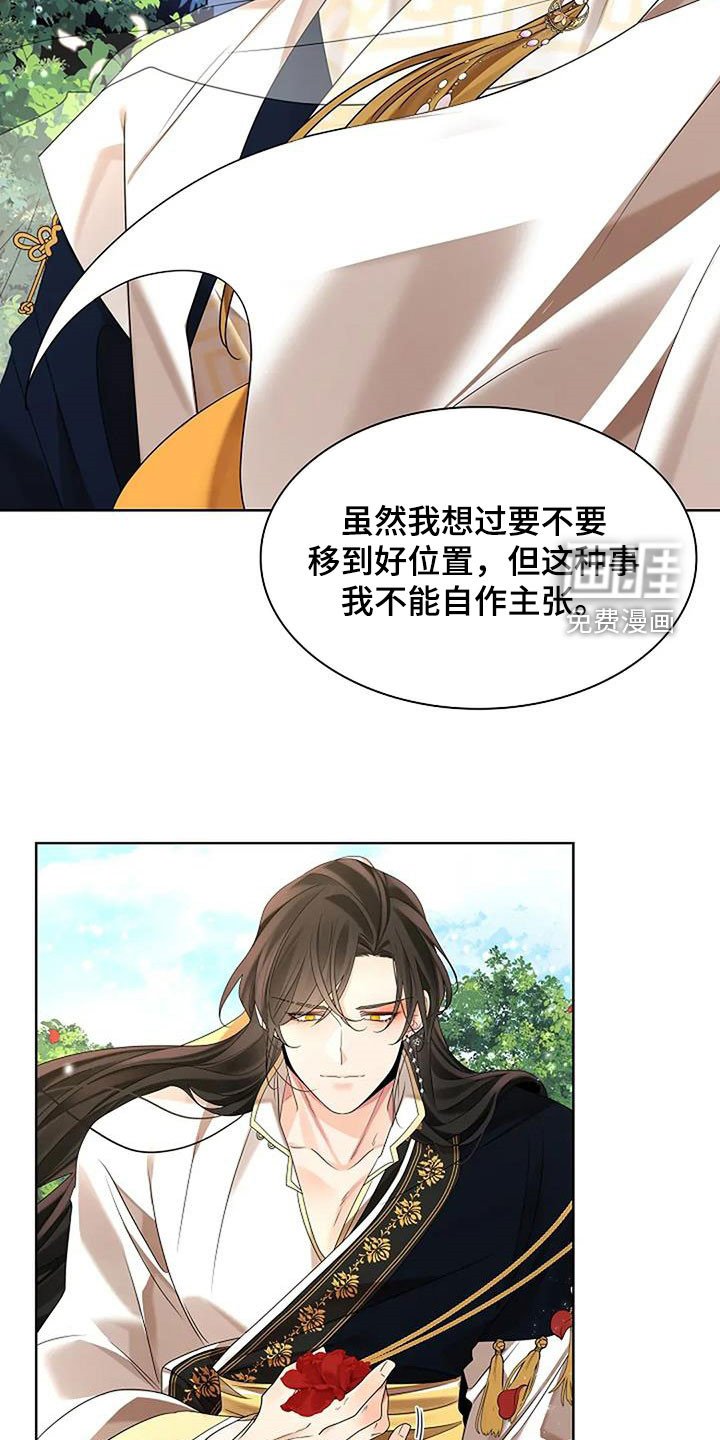 第194章：【番外完结】花海