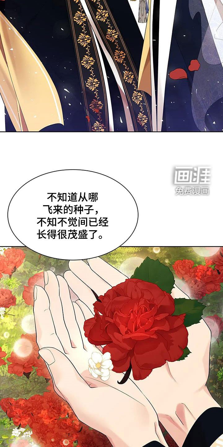 第194章：【番外完结】花海