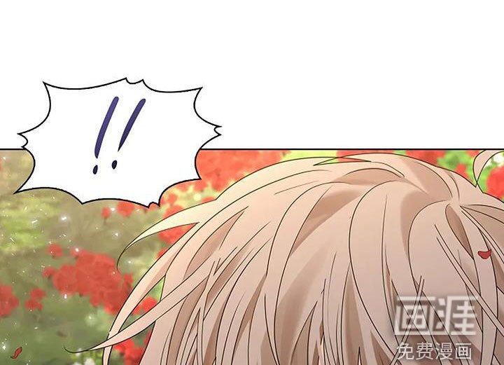 第194章：【番外完结】花海