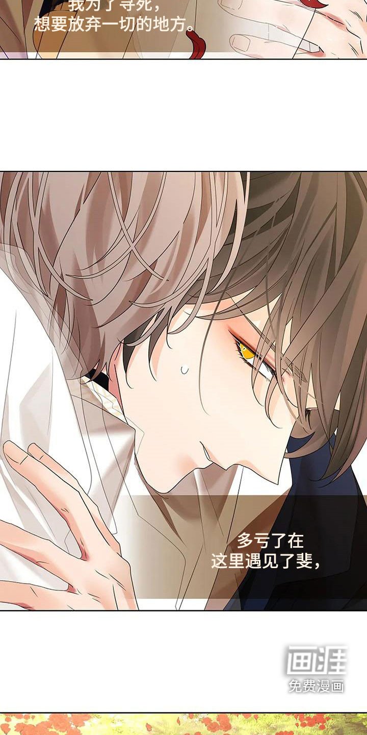第194章：【番外完结】花海