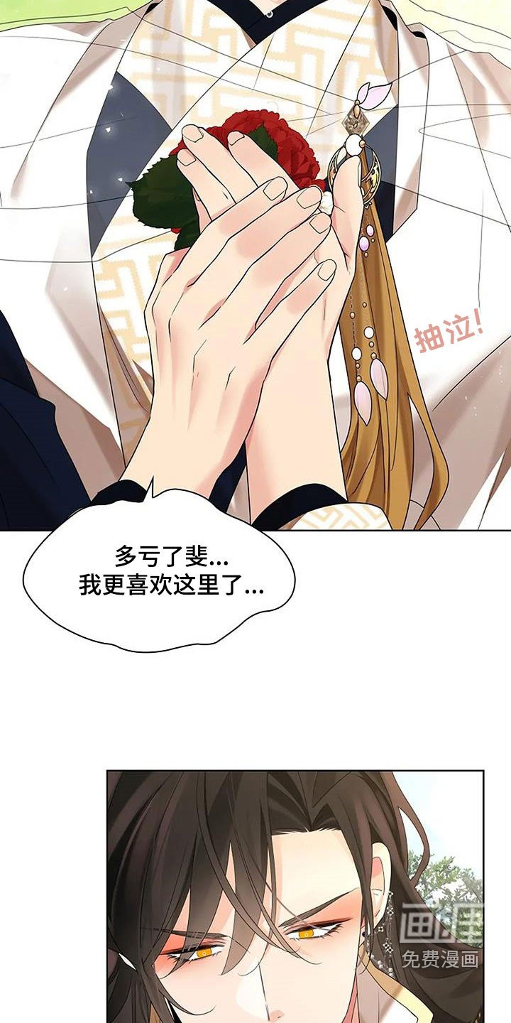第194章：【番外完结】花海