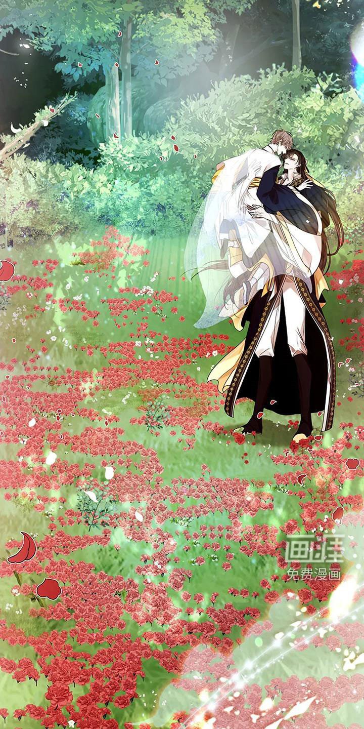 第194章：【番外完结】花海